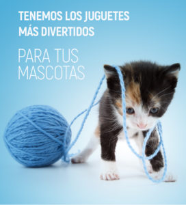 accesorios para animales